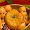 【顺丰快递】蒙自甜枇杷 皮薄如蜡纸 果肉金莹晶透 水润饱满 爽口诱人 - ATX 商品缩略图4