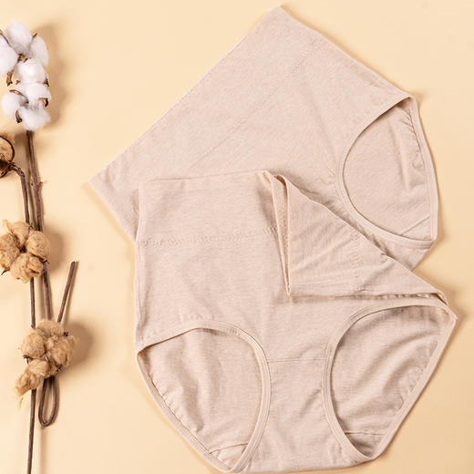 素道有机彩棉女士三角高腰内裤 棕色A类内裤女高腰护肚脐三角短裤 商品图2