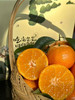 超级好吃😋砂糖桔，果实大小均匀、适中，果扁圆形，果皮光滑有光泽、红色或橘红色，皮薄化渣，汁多超甜，风味浓郁  礼盒款 商品缩略图4