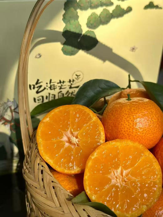 超级好吃😋砂糖桔，果实大小均匀、适中，果扁圆形，果皮光滑有光泽、红色或橘红色，皮薄化渣，汁多超甜，风味浓郁  礼盒款 商品图4