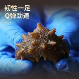 【顺丰快递】鲜食辽参 大连海域 低温鲜食 口感筋道 自然原色 零添加 速冻无包冰 深海珍品 滋补上选 BHKL