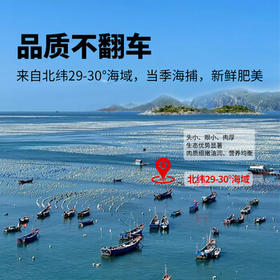 鱻谣北纬29-30°东海大号油带鱼礼盒净重8斤 单条4-6两 海鲜源头直发