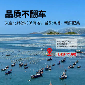 鱻谣北纬29-30°东海大号油带鱼礼盒净重8斤 单条4-6两 海鲜源头直发 商品图0