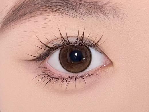 Curly Puppy半年抛美瞳 莫奈花园 14.2mm 商品图0