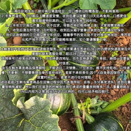 [最农公社]贝贝南瓜真粉真糯真贝贝  热量低营养美味  安全可靠的宝宝辅食 老少皆宜（详情页见检测表） 商品图7