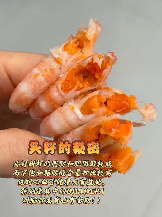 【团购价】渔礼记·顶级头籽甜虾（1公斤） 商品图2
