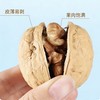  新疆原味烤核桃 烤核桃 熟核桃 薄皮核桃 休闲零食 AWJM 商品缩略图3