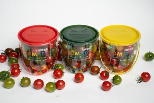 彩色小番茄抱抱桶 商品图0