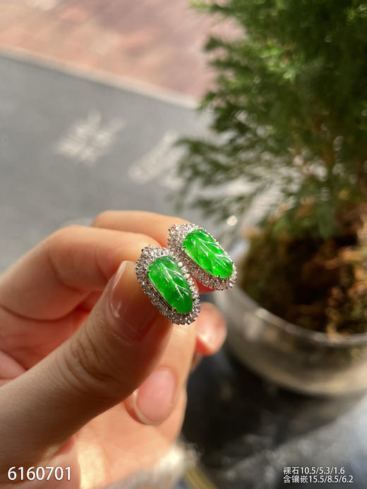 6160701，叶子耳钉。具体价格微信咨询 商品图5