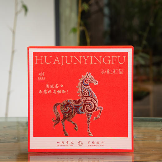 葳盛茶业2026年骅骏迎福新春礼盒普洱茶生熟套装240克 商品图0