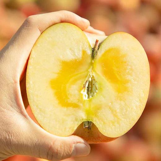 优选|新疆阿克苏冰糖心苹果 果味浓郁  多汁清甜 细腻脆爽   5斤/8斤 商品图2