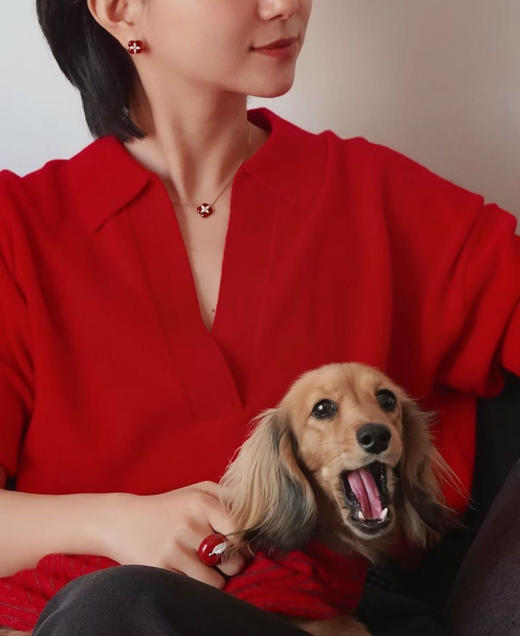 品牌原单柿柿如意项链&耳钉 商品图12