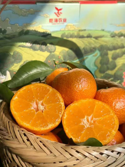 超级好吃😋砂糖桔，果实大小均匀、适中，果扁圆形，果皮光滑有光泽、红色或橘红色，皮薄化渣，汁多超甜，风味浓郁  礼盒款 商品图8