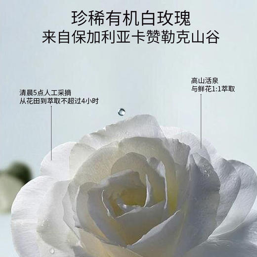 清仓特价 非临期 本批次保质期到2027年7月 乐活田园白玫瑰保湿露 商品图1