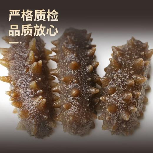 【顺丰快递】鲜食辽参 大连海域 低温鲜食 口感筋道 自然原色 零添加 速冻无包冰 深海珍品 滋补上选 BHKL 商品图2