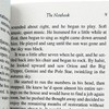 恋恋笔记本 英文原版 The Notebook 恋恋记事本 尼古拉斯 斯帕克斯 Nicholas Sparks 英文版爱情小说 进原版英语书籍 商品缩略图2