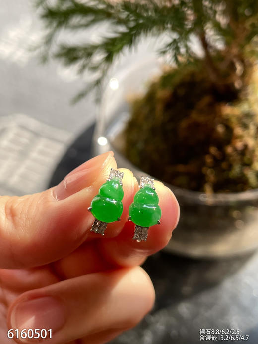 6160501，葫芦耳钉。具体价格微信咨询 商品图5