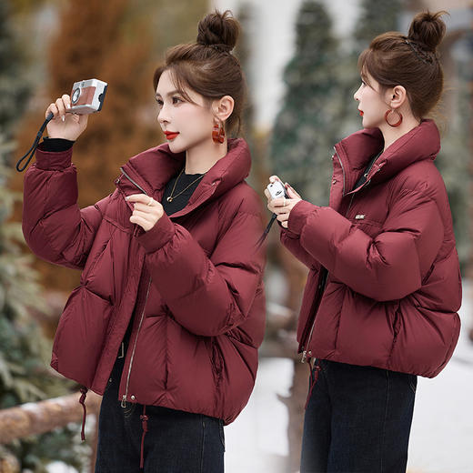 丁摩 冬季立领90白鸭绒羽绒服新款5ZF-9529 商品图3