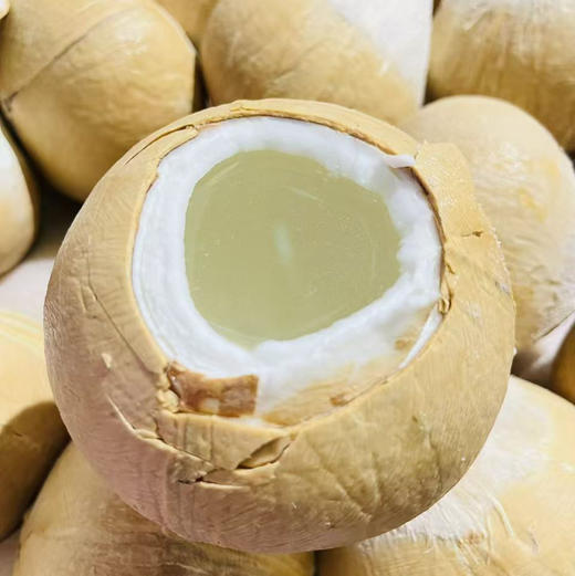 【限时活动🔥】 32#大果泰国奶香椰皇10个  单果500g 左右    椰香浓郁   纯天然饮料   椰子鸡必备  冰箱冷藏 商品图0