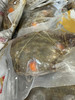 一级红膏咸炝蟹，只只饱满，口感鲜美，膏肥肉厚，终可分享。 商品缩略图6