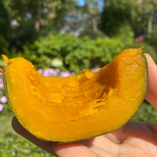 [最农公社]贝贝南瓜真粉真糯真贝贝  热量低营养美味  安全可靠的宝宝辅食 老少皆宜（详情页见检测表） 商品图5