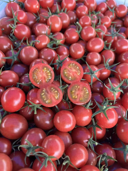 广东糖丸老品种千禧，2斤/箱 商品图3