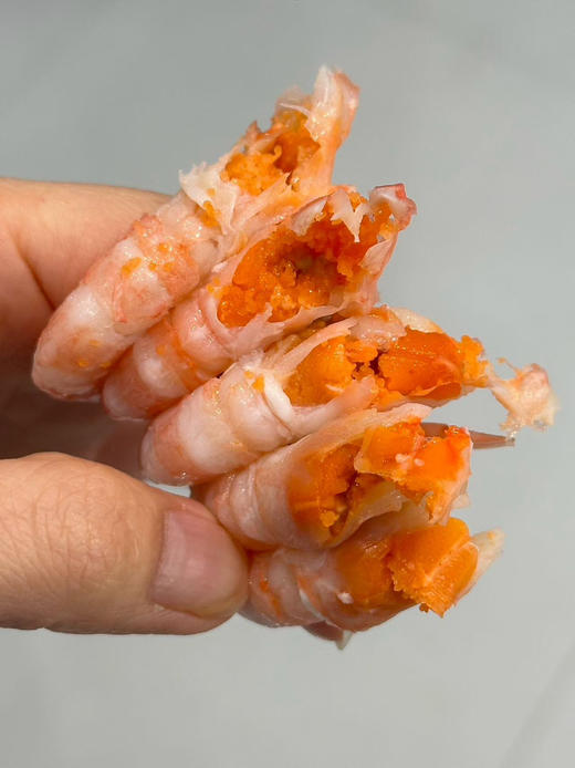 【团购价】渔礼记·顶级头籽甜虾（1公斤） 商品图7