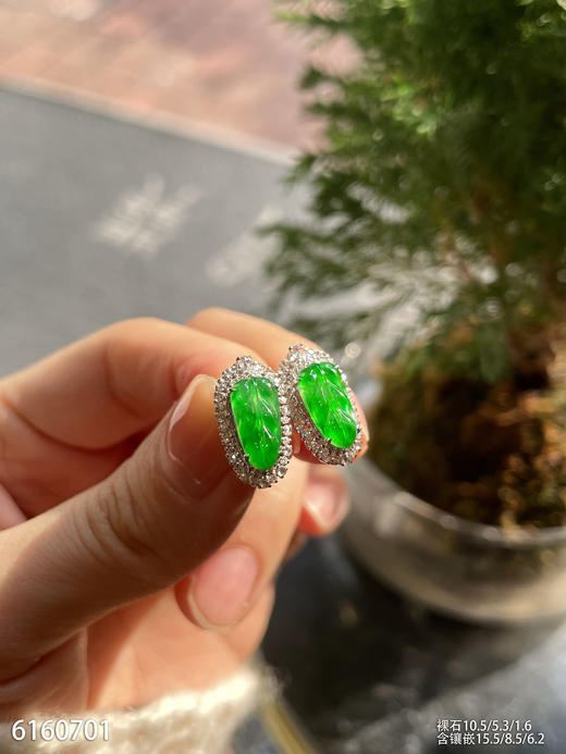 6160701，叶子耳钉。具体价格微信咨询 商品图3