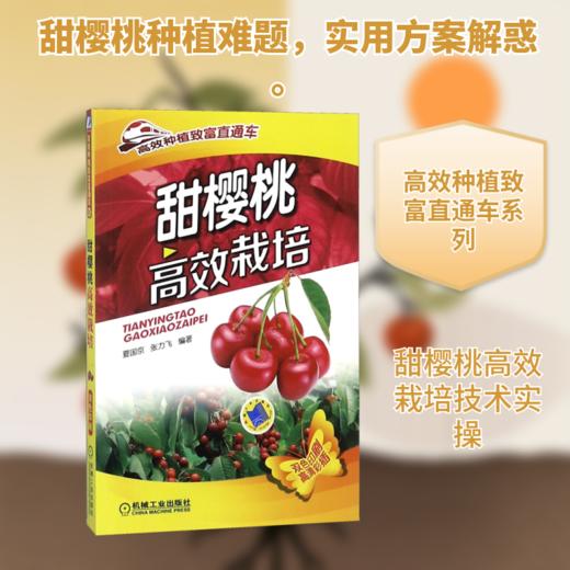 甜樱桃高效栽培 商品图0