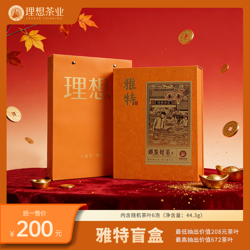 雅特·内含随机茶叶6泡（净含量：44.3g）