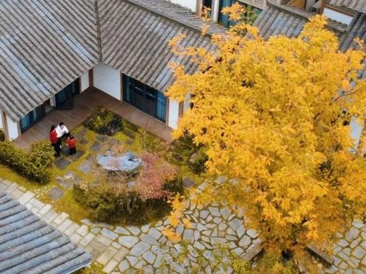 在成都周边包个院子过年！住进川西林盘艺术民宿，过“村居”日子，喂萌宠、田野小火车、植物拓染、手工泡菜……快带上家人，在稻乡渔歌感受乡野耕食慢生活，适合2、3家人组队哦~ 商品图4