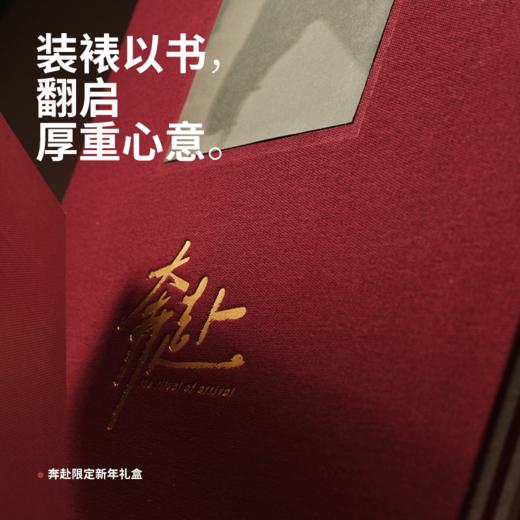 玛丽黛佳种籽气垫奔赴限定新年礼盒限定版贴肤锁妆遮瑕不易脱妆 商品图1