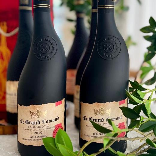 法国进口歪脖子洛蒙德干红葡萄酒 商品图4