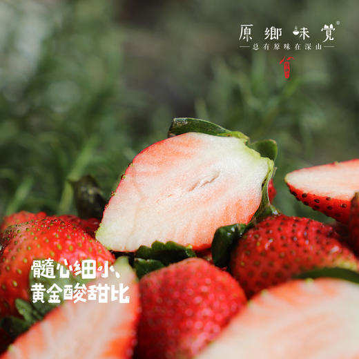 【买赠，实发1.15-1.2公斤】大理生态草莓（基地直发-顺丰空运包邮）| 2斤/箱，来自云南大理，生产者：高海斌（合作生产，公平贸易） 商品图1