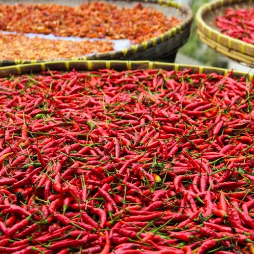 出口级的辣椒 真正无农残 安全放心 产地直采 辣味醇厚 香气浓郁 严苛标准 0829|百里食 商品图7