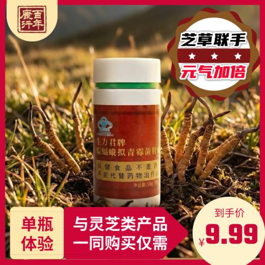 蝙蝠蛾拟青霉菌胶囊（原冬虫夏草粉胶囊） 商品图0