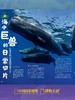 博物杂志 2026年2月刊 北极 商品缩略图5