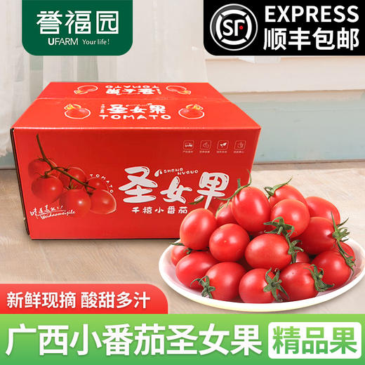 【顺丰快递】 广西圣女果 新鲜水果 整箱发货 单果8g左右 商品图0