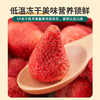 冻干草莓脆整颗新鲜水果干零食雪花酥烘焙专用孕妇材料零食新款新品 商品缩略图1