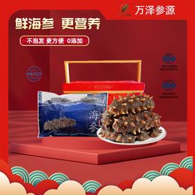 自营（万泽参源）-品质首选 HACCP认证  渤海湾深海即食海参 顺丰包邮