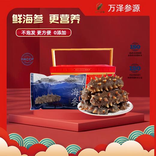 自营（万泽参源）-品质首选 HACCP认证  渤海湾深海即食海参 顺丰包邮 商品图0