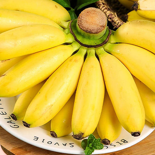 新鲜皇帝蕉个头小小蕉型饱满果香怡人香甜软糯现摘现发一次一根好吃不腻 商品图1