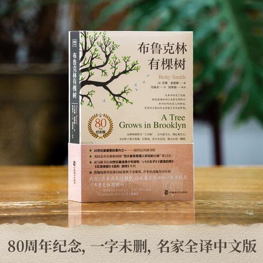 布鲁克林有棵树（80周年名家全译本）贝蒂·史密斯 与《小王子》《夏洛的网》《哈利·波特》《绿山墙的安妮》并列的最佳青少年读物 商品图4