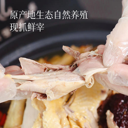 【日常和年夜饭餐桌上的抢手菜】【国家地理标志保护产品】清远鸡2只  原生态自然放养   现抓现宰发出 肉质鲜嫩 炖炒都好吃  炖汤鲜爽  可全家共享整鸡系列~ 商品图1
