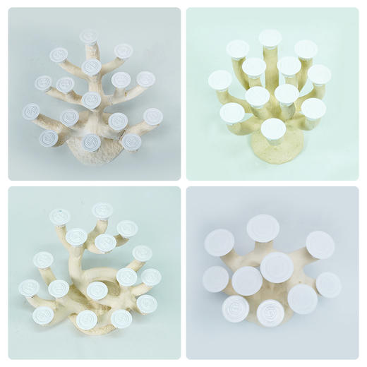 30-35缸枝状烧制造景 商品图9