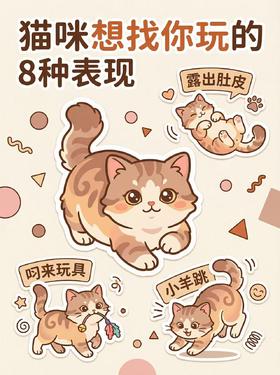 猫咪求玩8大信号‼别再冷落毛孩子