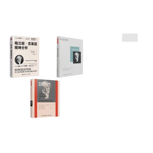 (3册)阅读克莱因+克莱因学派思想新辞典+梅兰妮·克莱因精神分析 商品图0