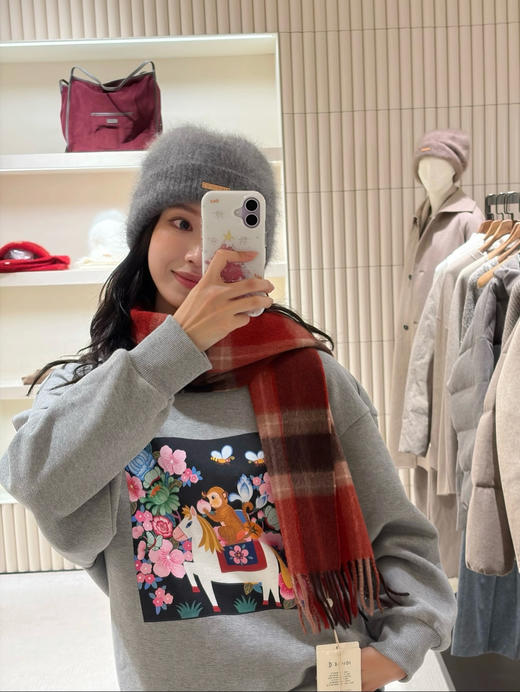 【秒杀价已调 直接拍】小禾 2026 毛圈棉 慵懒感 新年系列设计款 马上封侯印花 胶囊系列 宽版卫衣 商品图13