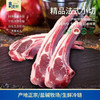 石家庄优选仓库速达，塞漠鲜盐池滩羊，肉质细嫩、无膻腥味、脂肪分布均匀，净含量:500g/袋 商品缩略图4