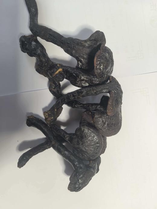 【九蒸九晒野生灵芝（泡酒佳品，数量有限）（1斤装）】 商品图2